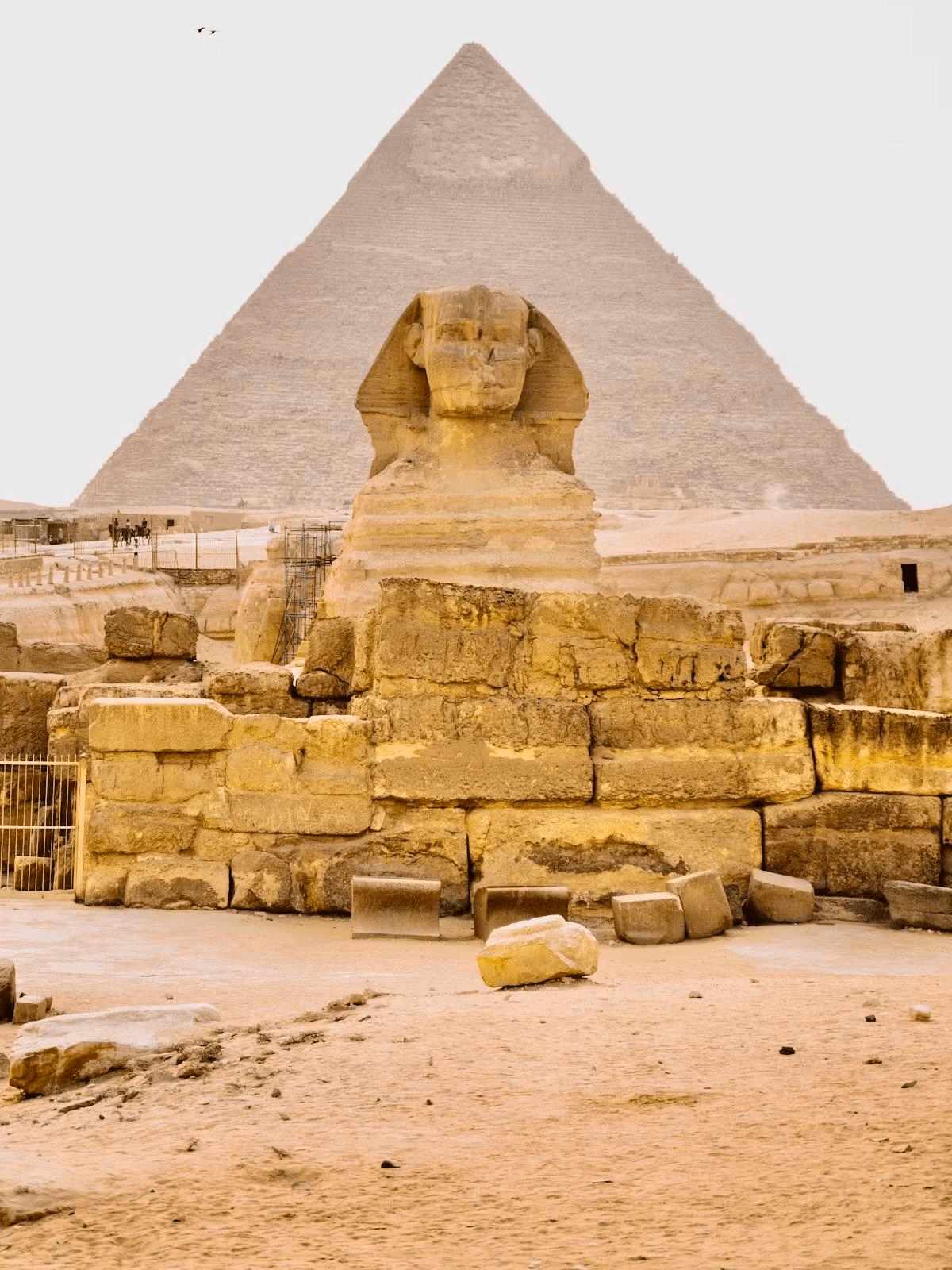 Best Time to Visit Egypt: A Complete Month-by-Month Travel Guide