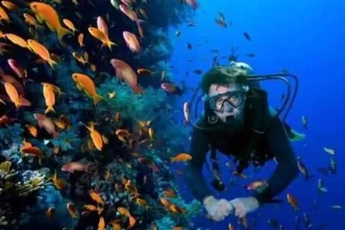 Tauch- und Schnorcheltour mit Mittagessen ab Hurghada