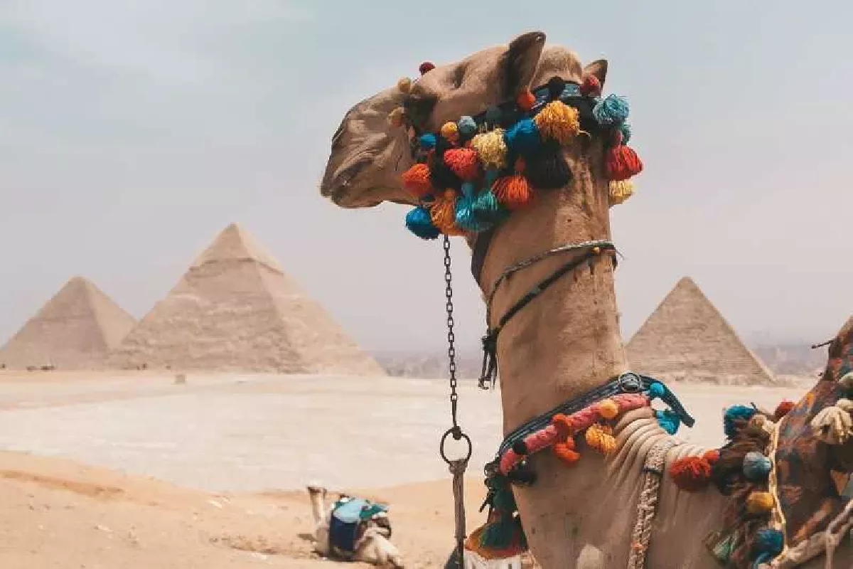 Circuit de 10 jours « Le meilleur de l’Égypte » : Pyramides et croisière sur le Nil