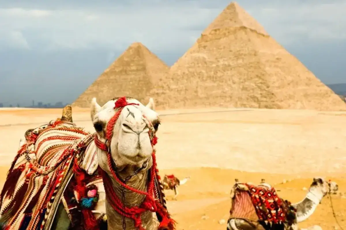 Cairo Half-Day Tour to Pyramids of Giza and the Sphinx
